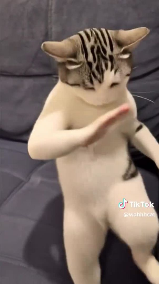 Dancinha